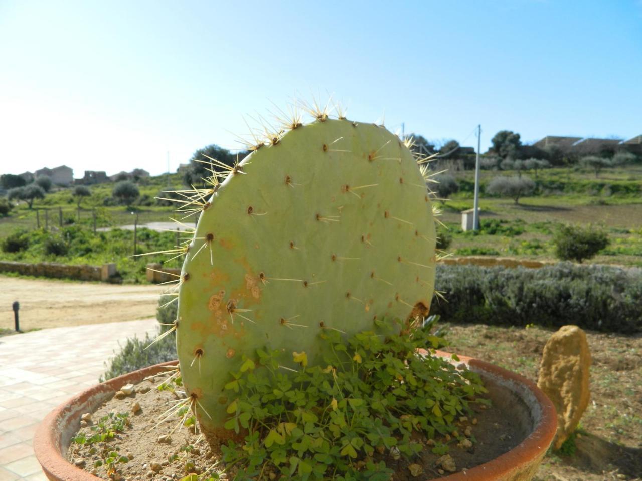 Agriturismo Passo Dei Briganti Αγκριτζέντο Εξωτερικό φωτογραφία